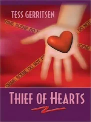 Tess Gerritsen - Thief Of Hearts aka Stolen