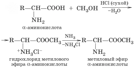 образование сложного эфира 4 ацилирование 5 NH 3CH 2COO 3CH 3I - фото 169