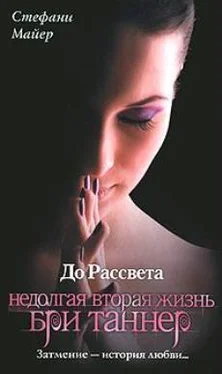 Стефани Майер До рассвета. Недолгая вторая жизнь Бри Таннер обложка книги