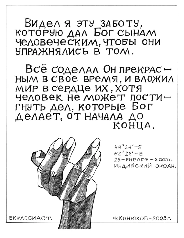 Сегодня ночью а вернее вечером уже могла появиться луна в виде тоненького - фото 13