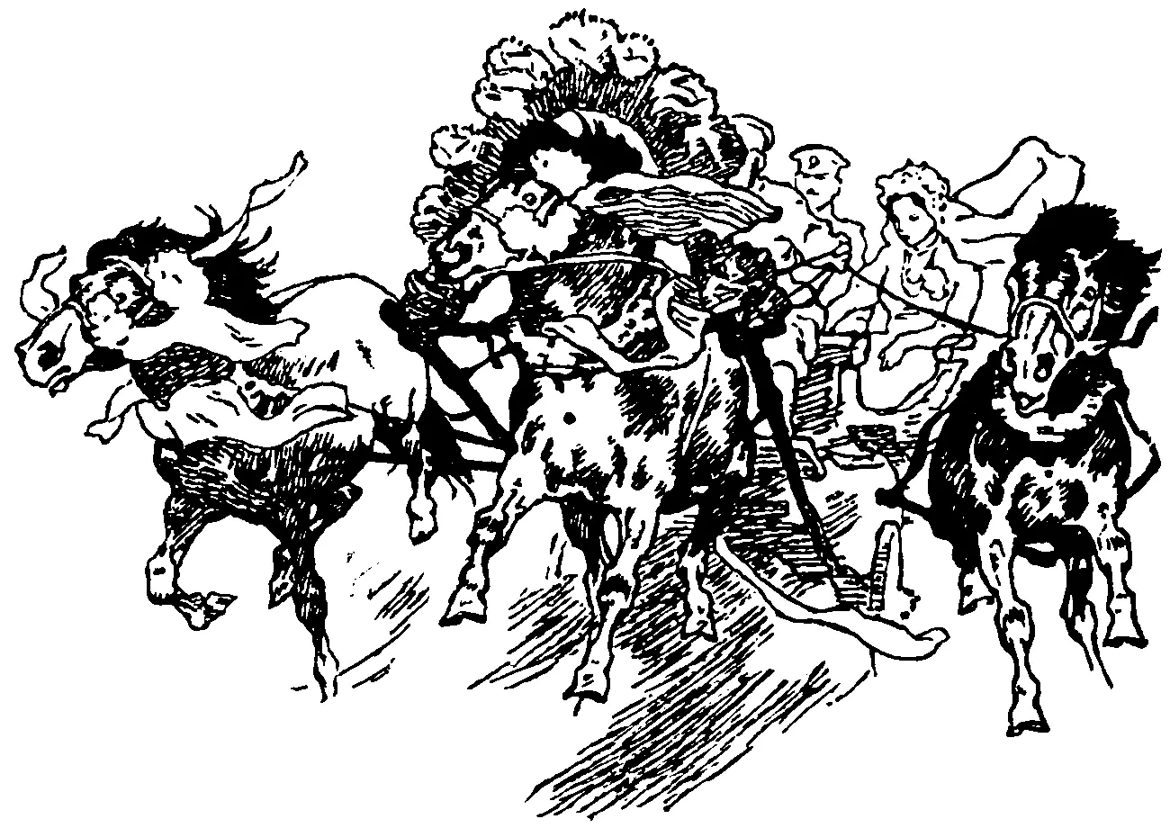 Прошло немного времени и с такой же скоростью только без лент и бубенцов - фото 13