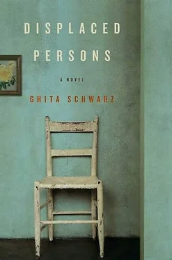 Ghita Schwarz Displaced Persons обложка книги