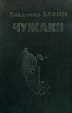 Владимир Вафин Чужаки обложка книги