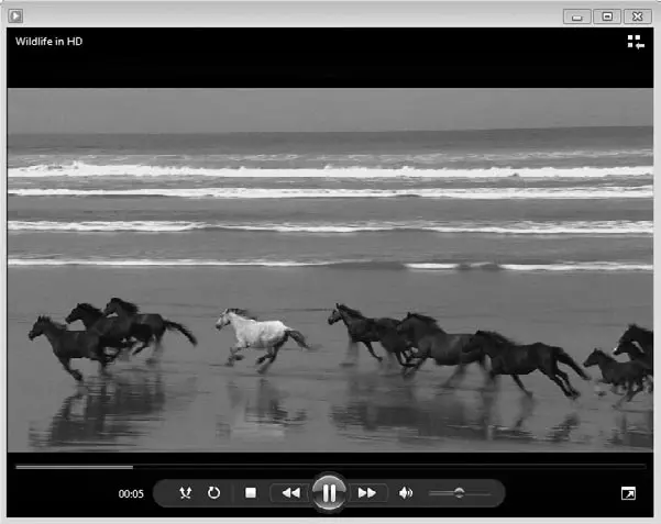 Рис 69 Проигрыватель Media Player Classic Основные действия с плеером - фото 64