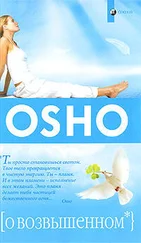 Бхагаван Раджниш - О возвышенном