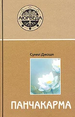 Сунил Джоши - Панчакарма