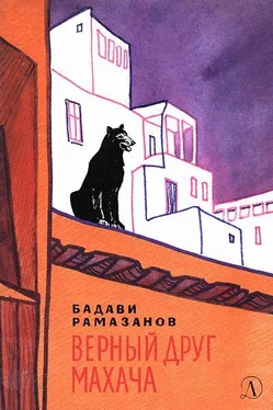 Бадави Рамазанов Верный друг Махача обложка книги