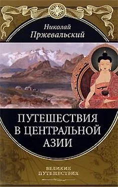 Николай Пржевальский От Кяхты на истоки Желтой реки Четвертое путешествие в Центральной Азии (1883-1885 гг.) обложка книги