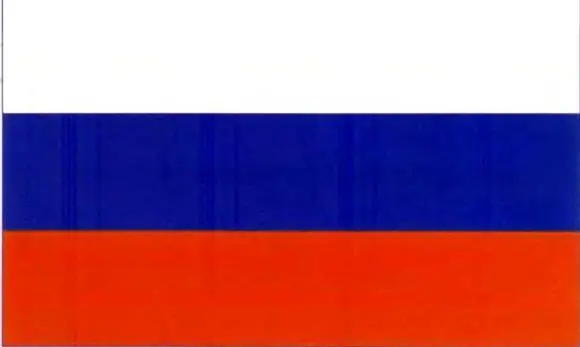 Торговый флаг 17051917 и государственный флаг18831917 и с 1991 - фото 22