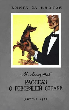 Михаил Лоскутов Рассказ о говорящей собаке обложка книги