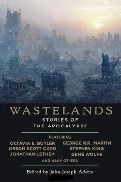 John Adams Wastelands: Stories of the Apocalipse обложка книги