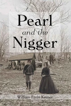 William Keener Pearl and the Nigger обложка книги