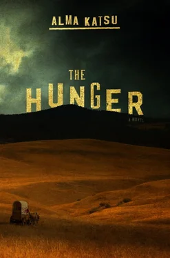 Алма Катсу The Hunger обложка книги