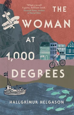 Халлгримур Хельгасон The Woman at 1,000 Degrees обложка книги