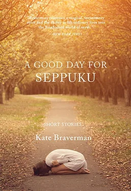 Кейт Браверман A Good Day for Seppuku обложка книги