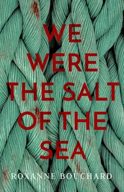 Roxanne Bouchard We Were the Salt of the Sea обложка книги