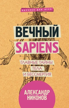 Александр Никонов Вечный sapiens [Главные тайны тела и бессмертия] обложка книги