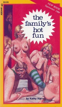 Kathy Harris The family_s hot fun обложка книги