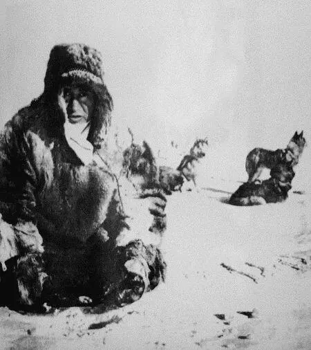 Знатный индигирский охотник К А Киселев устанавливает капкан на песца - фото 13