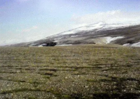 В тундре Голубоглазый щенок Существовали неписаные правила собаководства - фото 23