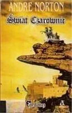 Andre Norton Świat Czarownic обложка книги