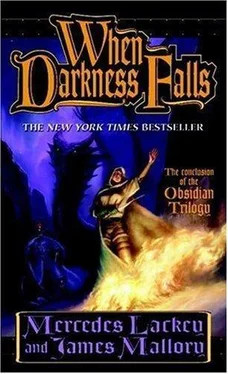 Mercedes Lackey When Darkness Falls обложка книги