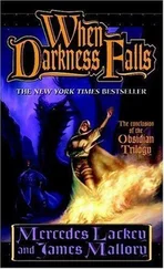 Mercedes Lackey - When Darkness Falls