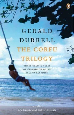 Gerald Durrell The Corfu Trilogy обложка книги