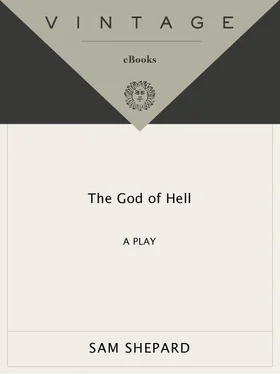 Sam Shepard The god of hell: a play обложка книги