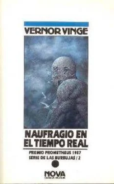 Vernor Vinge Naufragio en el tiempo real обложка книги