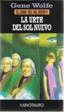 Gene Wolfe La Urth del Sol Nuevo обложка книги