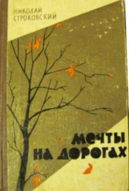 Николай Строковский Вешний цвет обложка книги