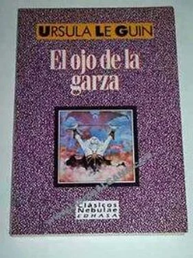 Ursula Le Guin El ojo de la garza обложка книги