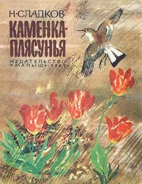 Николай Сладков Каменка-плясунья обложка книги