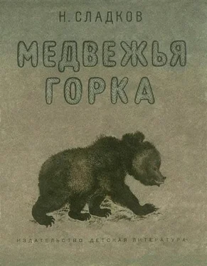Николай Сладков Медвежья горка обложка книги