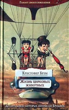 Кристофер Брэм Жизнь цирковых животных обложка книги