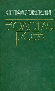 Константин Паустовский Секвойя обложка книги