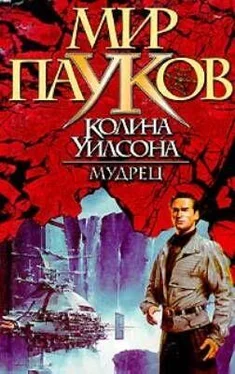 Брайан Макферсон Мудрец обложка книги