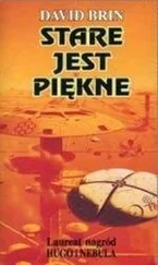 David Brin - Stare jest piękne