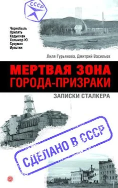 Лиля Гурьянова Мертвая зона. Города-призраки: записки Сталкера обложка книги