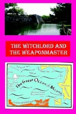 Hugh Cook The Witchlord and the Weaponmaster обложка книги