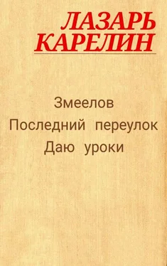 Лазарь Карелин Змеелов обложка книги