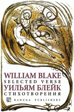Уильям Блейк Стихотворения обложка книги