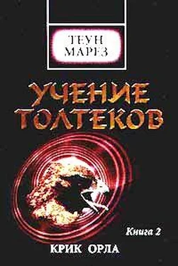 Теун Марез Крик орла обложка книги