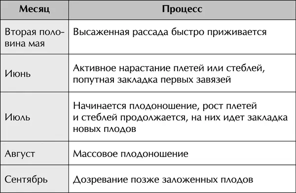 Сравнение все вскрывает Согласитесь в теплице картина будет веселее С таким - фото 8