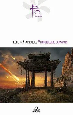 Евгений Гаркушев Вариатор обложка книги