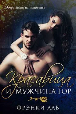 Фрэнки Лав Красавица и мужчина гор обложка книги