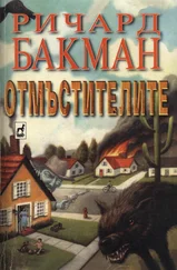 Стивън Кинг - Отмъстителите