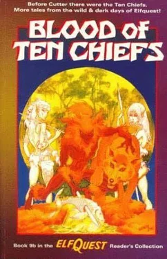 Robert Asprin The Blood of Ten Chiefs обложка книги