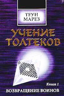 Теун Марез Возвращение воинов обложка книги